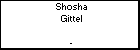 Shosha Gittel