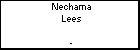Nechama Lees
